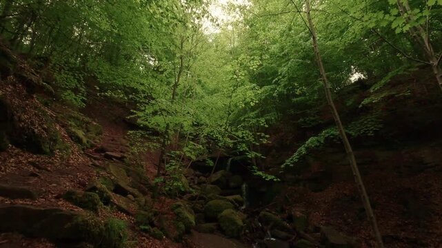 Hiking through a gorge featuring waterfalls, winding through a forest of deciduous trees, with a forest floor of soil and rocks.