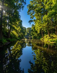 Fototapeta premium Lush Green Forest Reflecting on Calm River Under Bright Blue Sky