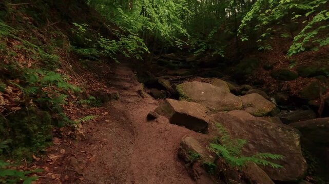 Hiking through a gorge featuring waterfalls, winding through a forest of deciduous trees, with a forest floor of soil and rocks.