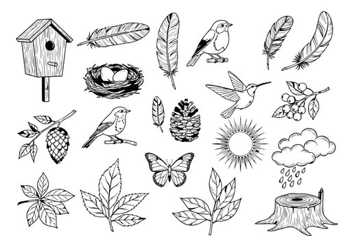 Sketch icon set of 22 nature elements featuring birds, feathers, leaves, butterfly and woodland objects for seasonal design