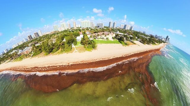 Sargassum in Miami taking over the beach 2026 aerial 4k 60p