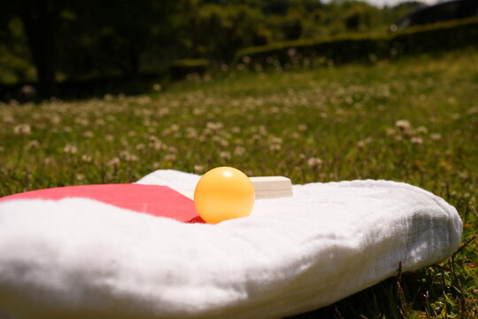 Ping pong paddle rests on grassy field. Yellow ball lies beside it, sunlit and bright. Gentle breeze rustles nearby wildflowers. Outdoor sports feel relaxed and playful. Ideal for leisure, fitness
