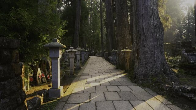Summer Early Morning at Okunoin &mdash; Koyasan, Wakayama　「夏・早朝の奥之院」和歌山県高野町