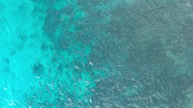 Aerial view of the crystal clear turquoise waters and coral reef formations around Felicite Island, La Digue, Seychelles.