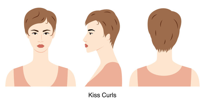 Kiss curls hairstyle vector front back profile views, curled hair shape decorative waves composition for beauty salon, hairdresser reference, fashion illustration, hairstyle selection