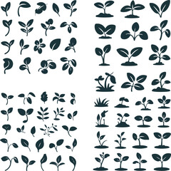 Obraz premium Plant sprouts and leaves silhouettes for growth and nature themes.
