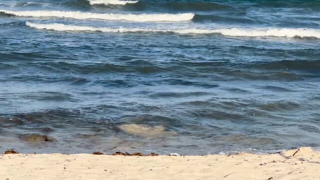 oleade en playa de Tulum