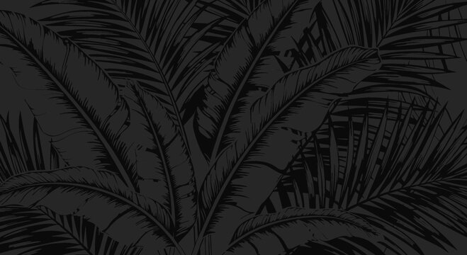 Dark botanical illustration of palm leaves and foliage pattern background
