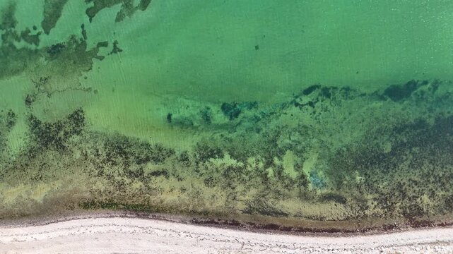 Aerial view of the turquoise water and sandy shoreline of Langballigau with dark seaweed patches in Schleswig-Flensburg, Schleswig-Holstein, Germany.