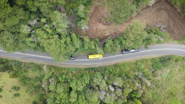 Vista a&eacute;rea plano cenital buses avanzando por carretera entre &aacute;rboles verdes