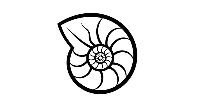 Minimalist black and white nautilus shell vector illustration