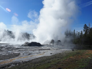 Fototapeta premium Geysers erupting in Yellowstone National Park