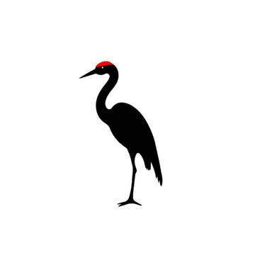 black crowned crane bird heron