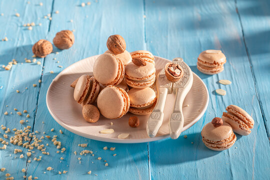 Fresh nut macarons made of hazelnut, walnut and almond.