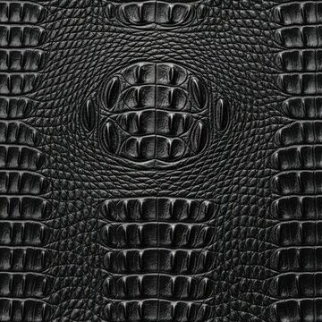 Close-up of Crocodile Skin Texture