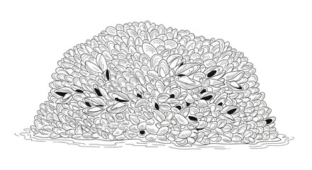 Pile of Mussels Illustration © Farah