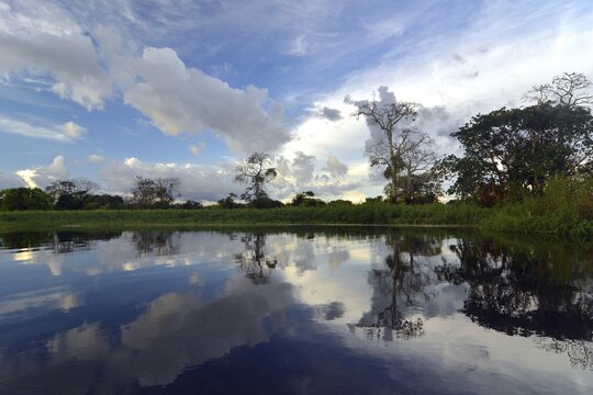 Dusk at a lake-like widened part of the Amazon or Rio Solim&otilde;es, Mamirau&aacute; Sustainable Development Reserve, Manaus, Amazonas, Brazil
