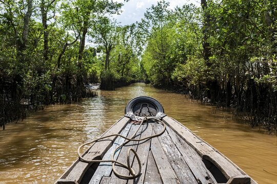 Rowing through a small water channel, Cai Be, Mekong Delta, Vietnam