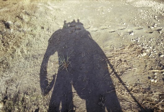 Shadow of a ride elephant with people, Corbett National Park, Uttar Pradesh, India