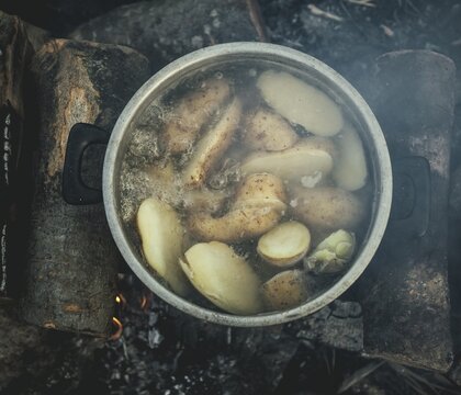 Potato pot, meal of a family of refugees in the camp Idomeni, Greece