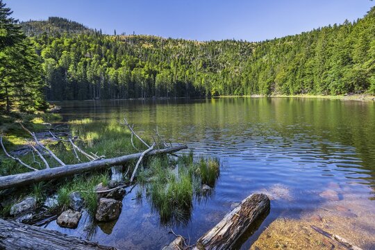 Rachelsee, a cirque lake in the Bavarian Forest National Park, Sankt Oswald-Riedlh&uuml;tte, Bavarian Forest, Lower Bavaria, Bavaria, Germany