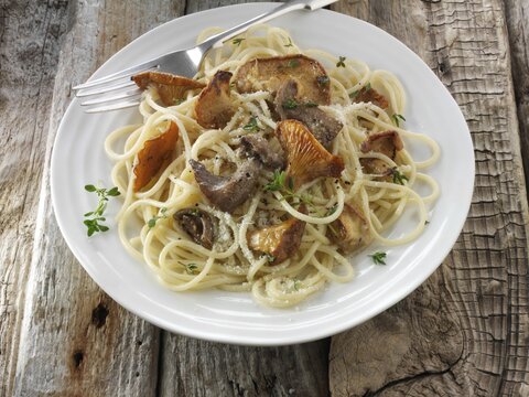Wild  chanterelle or girolle (Cantharellus cibarius), Pied de Mouton Mushrooms (hydnum repandum) or Pied Bleu of blue foot mushrooms (Clitocybe nuda) with spaghetti
