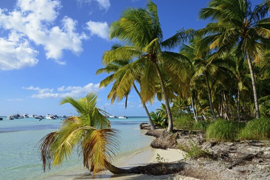 Palm Beach, Parque Nacional del Este, Dominican Republic