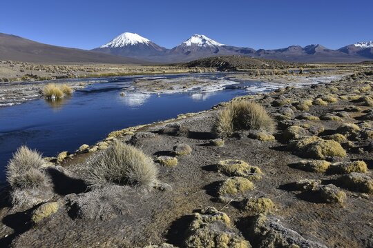 Snow-covered volcanoes Pomerape and Parinacota with icy river, Sajama National Park, Bolivian border, Chile