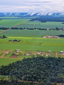 Aerial of the giant soy fields around Sinop, Mato Grosso, Brazil