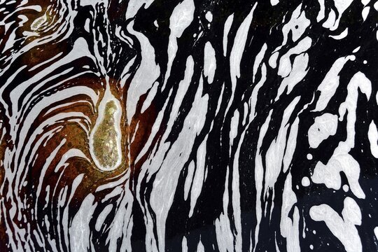 Typical foam structures on a blackwater river, Chapada Diamantina, Bahia, Brazil