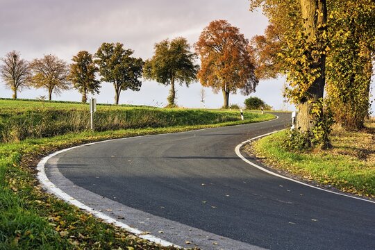 Winding road in autumn, leaves on the road, serpentines, S-curve uphill, Brev&ouml;rde, Holzminden, Weserbergland, Lower Saxony, Germany