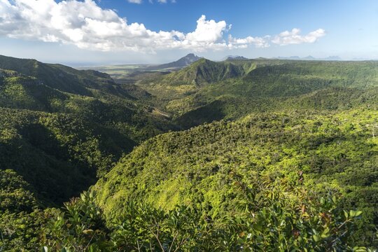View over the gorge in the Black River Gorges National Park, Mauritius