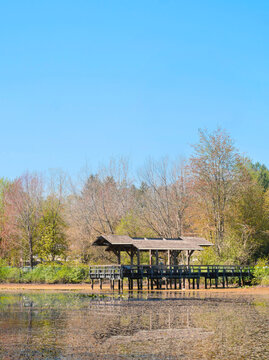 Fishtrap Creek Park during a spring season in Abbotsford, British Columbia, Canada