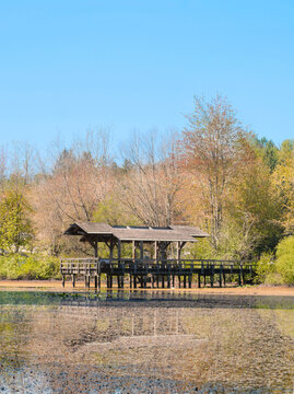 Fishtrap Creek Park during a spring season in Abbotsford, British Columbia, Canada