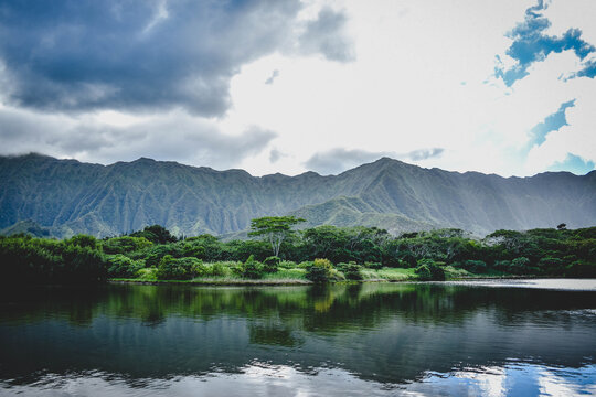 Oahu Nature