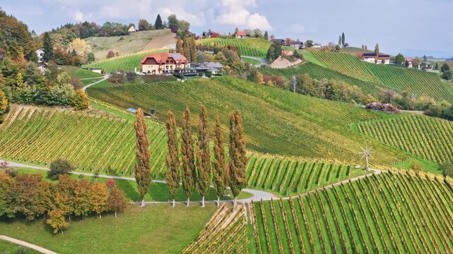 Aerial view of rolling vineyards and a traditional winery on the hills of Sudsteiermark with a Klapotetz windmill in Gamlitz, Styria, Austria.