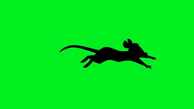 4K Loop Animation Side View Baby Mouse Silhouette Running on Green Screen Background, Seamless Chroma Key Rodent Motion for Editing, Cartoon, and Wildlife Projects