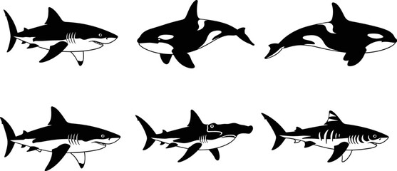 Marine Predator Silhouette Vector Set featuring Great White Shark Orca Killer Whale and Hammerhead Icons for Ocean Wildlife and Educational Graphic Designs © monoara