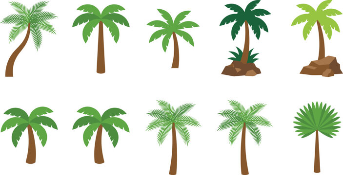 Set of tropical palm tree vector illustrations with green leaves and coconut fronds for summer vacation and beach designs
