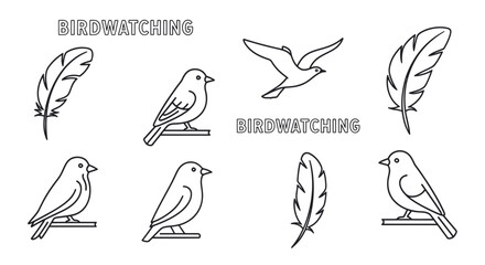 Obraz premium Birdwatching Icons: Feathers and Birds in Outline Style