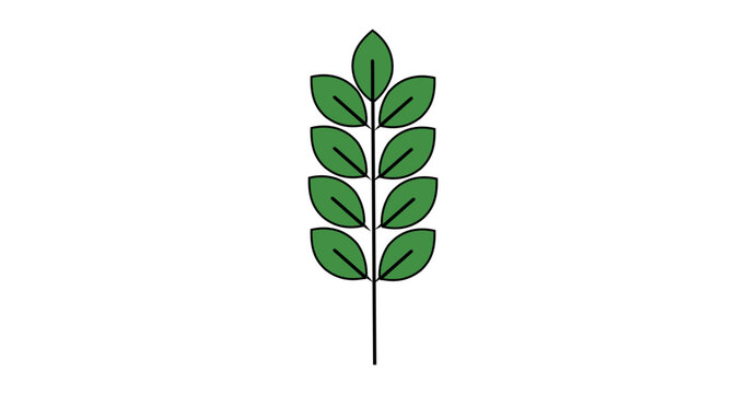 green leaves, leafy branch, vector plant, green folia