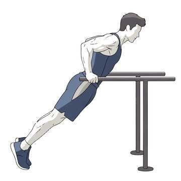 Illustration of a Muscular Man Performing Tricep Dips on Parallel Bars Bodyweight Exercise