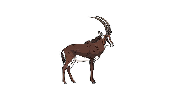 Brown Antelope with Large Horns.