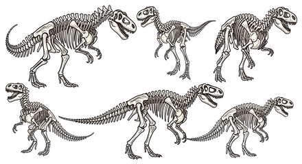 Dinosaur Skeletons Collection - Prehistoric Creatures, Ancient Fossils, Paleontology © Fulan
