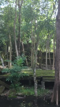 Ancient ruins overgrown with jungle vegetation in Prasat Beng Mealea, Siem Reap, Cambodia. The crumbling stone structures and water features suggest a lost civilization.