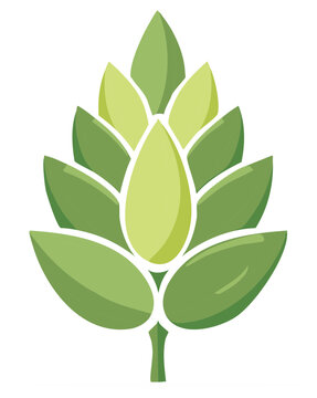 Illustration of a cone with green leaves and stem for beer brewing ingredients