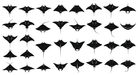 Collection of various stingray silhouettes, marine life vector graphics © Hantu