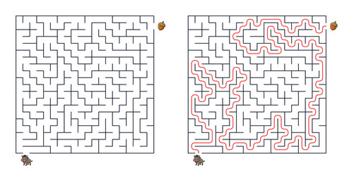 Boar Maze for kids activity path to acorn with solution © Alex