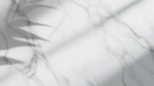 Elegant Marble Background with Palm Leaf Shadow.