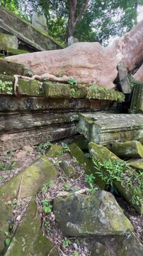 Ancient stone ruins overgrown with moss and tree roots at Beng Mealea temple, Cambodia. The jungle temple is a popular tourist destination.